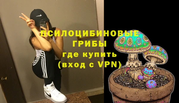 герыч Зеленокумск