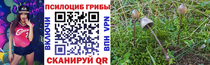 Галлюциногенные грибы прущие грибы  Купить закладки  Ивдель 